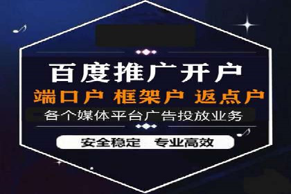 知名SEM公司案例分析：优化策略与成果